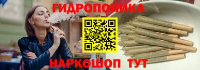дмт Бийск