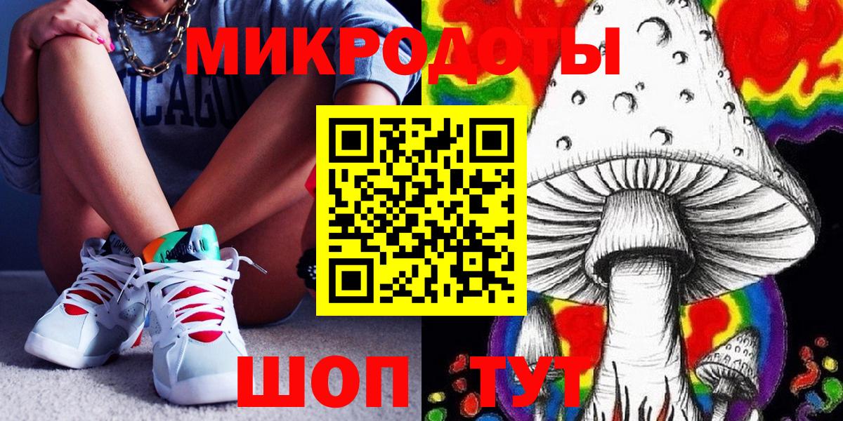 Псилоцибиновые грибы Psilocybe Камышин